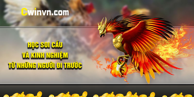 Học soi cầu và kinh nghiệm từ những người đi trước Học soi cầu và kinh nghiệm từ những người đi trước
