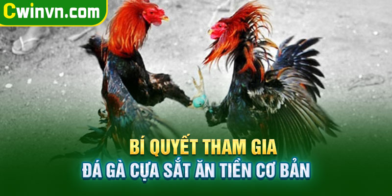 Bí quyết tham gia đá gà cựa sắt ăn tiền Bí quyết tham gia đá gà cựa sắt ăn tiền