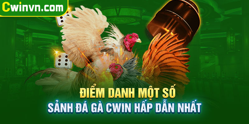 Một số sảnh đá gà Cwin hấp dẫn nhất Một số sảnh đá gà Cwin hấp dẫn nhất