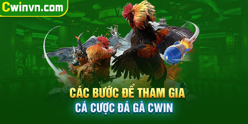 Hướng dẫn tham gia cá cược đá gà Cwin Hướng dẫn tham gia cá cược đá gà Cwin