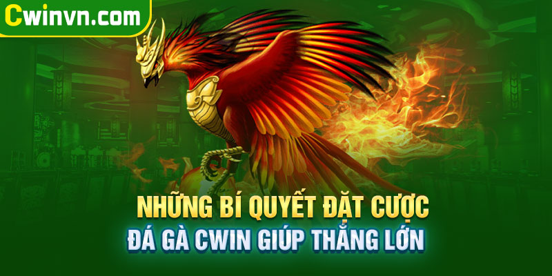 Những bí quyết đặt cược đá gà Cwin Những bí quyết đặt cược đá gà Cwin