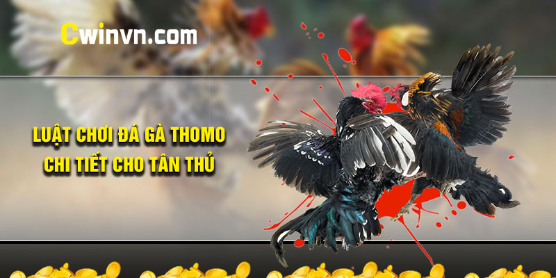 Tham khảo luật chơi đá gà Thomo cho người mới Tham khảo luật chơi đá gà Thomo cho người mới