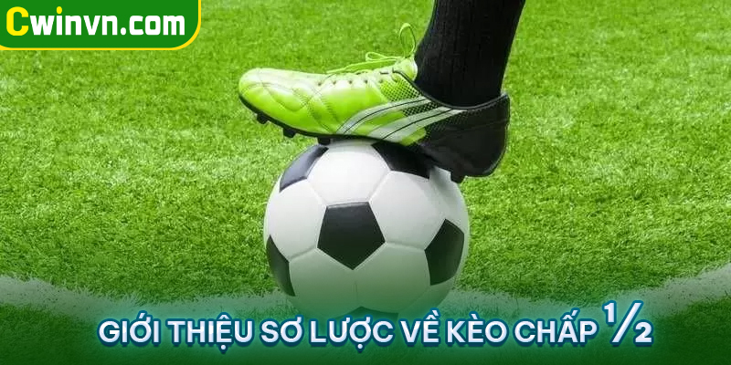 Giới thiệu sơ lược về kèo chấp 1/2 Giới thiệu sơ lược về kèo chấp 1/2