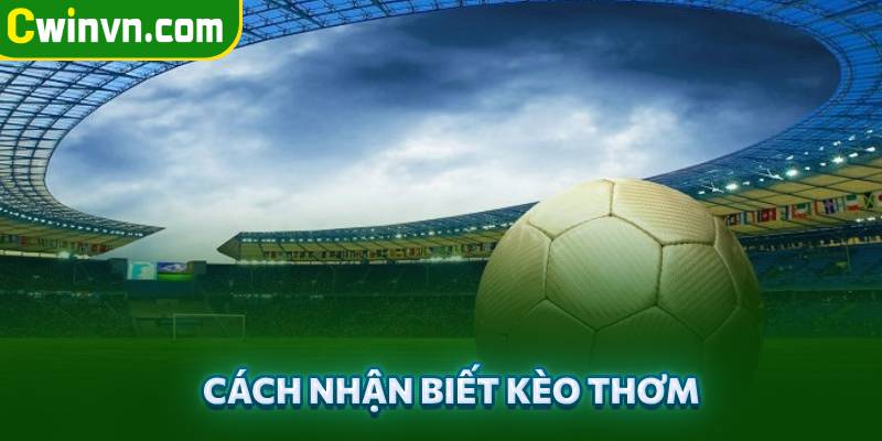 Mẹo nhận biết kèo thơm dễ dàng Mẹo nhận biết kèo thơm dễ dàng
