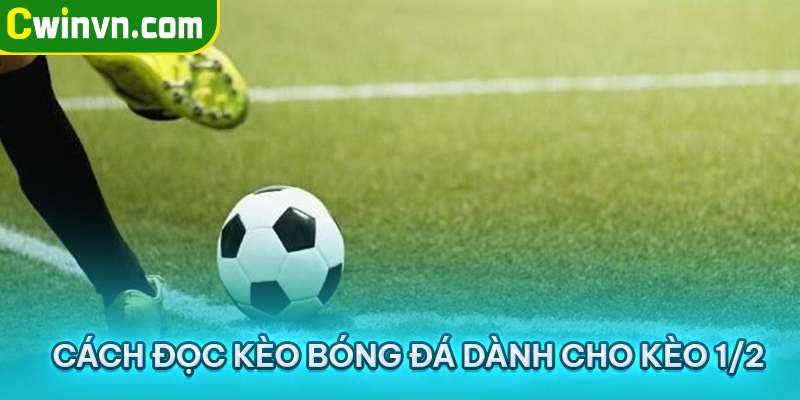 Những lưu ý về cách đọc kèo bóng đá Những lưu ý về cách đọc kèo bóng đá