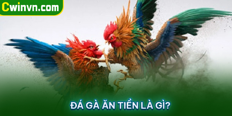 Giới thiệu về đá gà ăn tiền Giới thiệu về đá gà ăn tiền