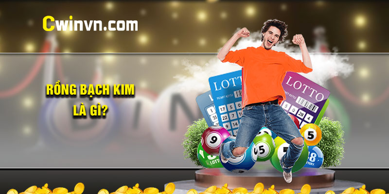 Rồng bạch kim là gì? Rồng bạch kim là gì?