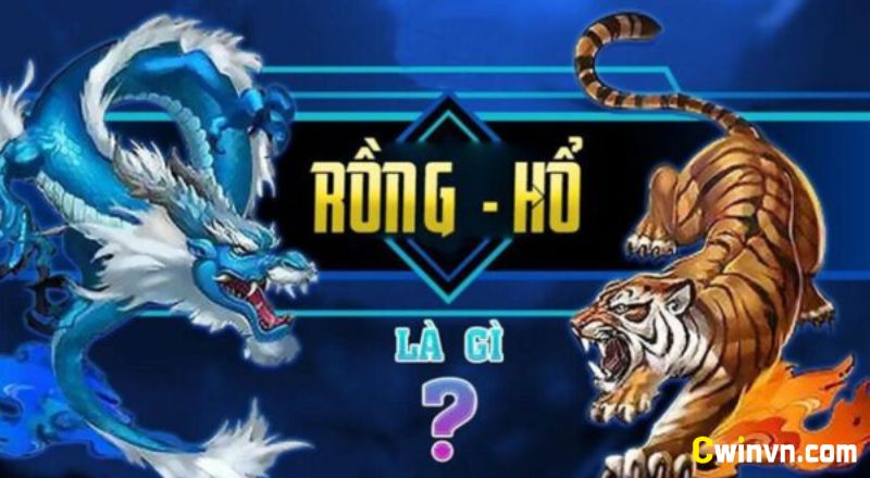 Đôi nét về game Rồng hổ là gì Đôi nét về game Rồng hổ là gì