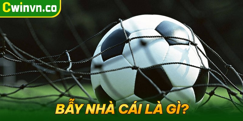 Tìm hiểu bẫy nhà cái là gì? Tìm hiểu bẫy nhà cái là gì?