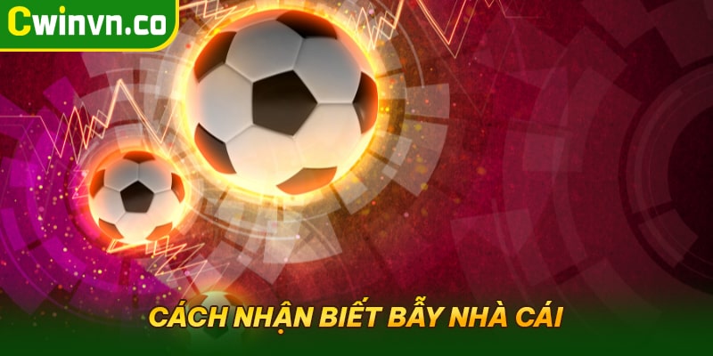 Cách nhận biết bẫy nhà cái đặt ra Cách nhận biết bẫy nhà cái đặt ra