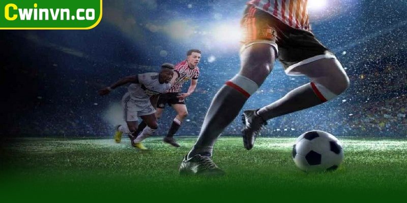 Tìm hiểu về tỷ lệ kèo Indonesia là gì Tìm hiểu về tỷ lệ kèo Indonesia là gì